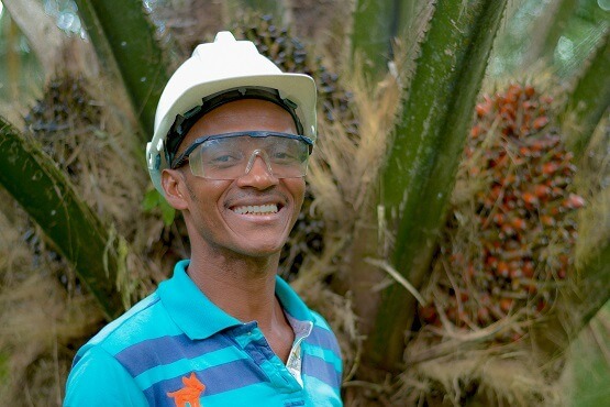 Palm oil worker Colombia small
