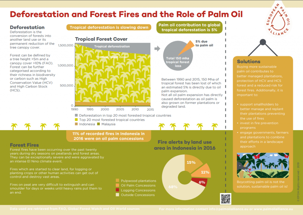 deforestation infographic