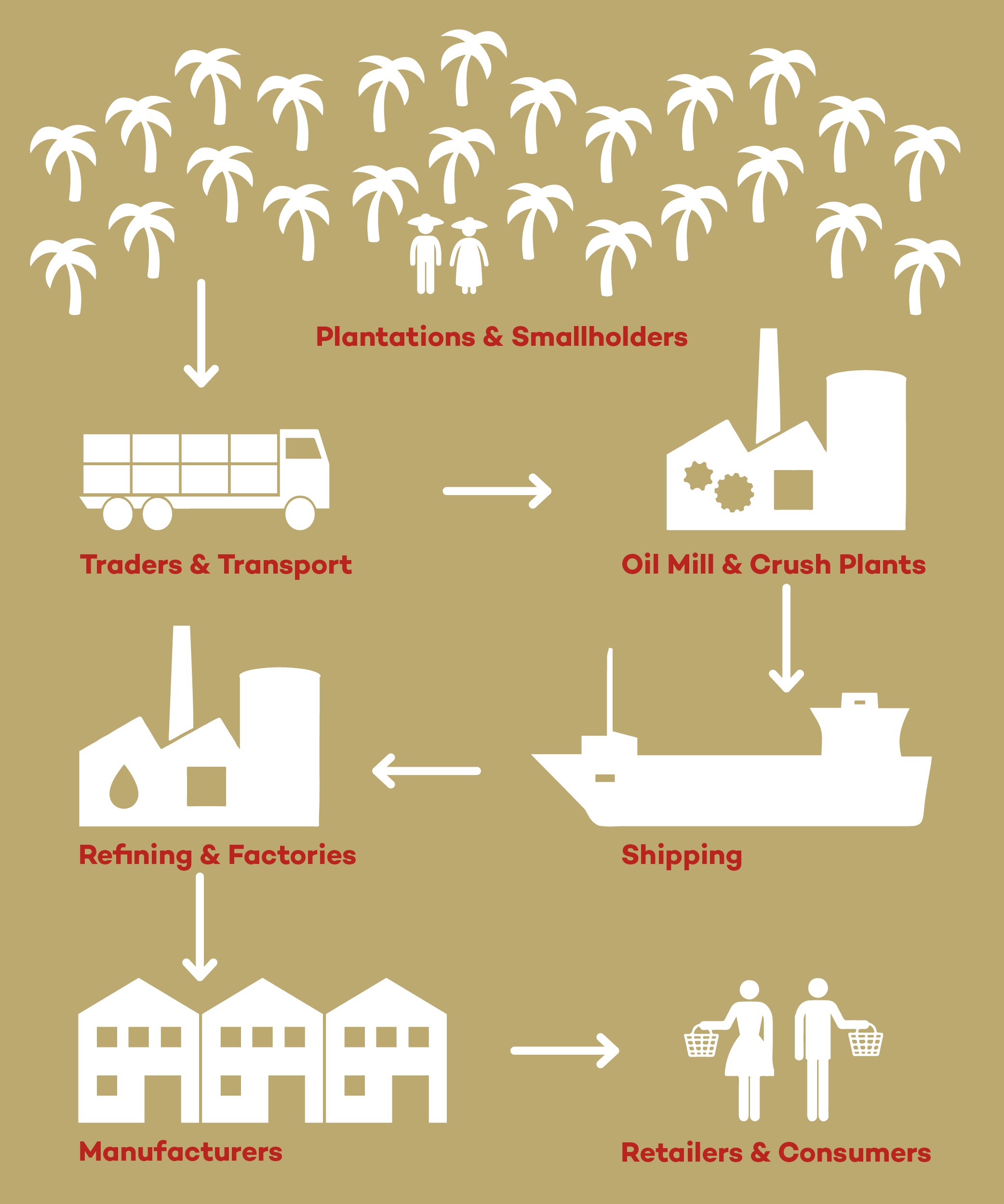 palm oil supply chain